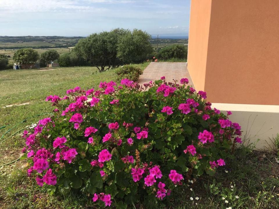 Agriturismo Gli Olivastri, Appartamento La Rosa Dei Venti Con Piscina E Solarium , Vista Mare ,Climatizzatore ,Wifi Aglientu Bagian luar foto