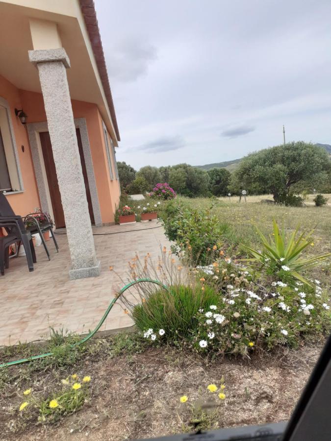 Agriturismo Gli Olivastri, Appartamento La Rosa Dei Venti Con Piscina E Solarium , Vista Mare ,Climatizzatore ,Wifi Aglientu Bagian luar foto